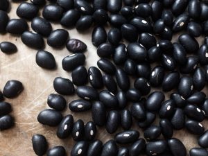20160707-legumes-black-beans-vicky-wasik-19-1500x1125