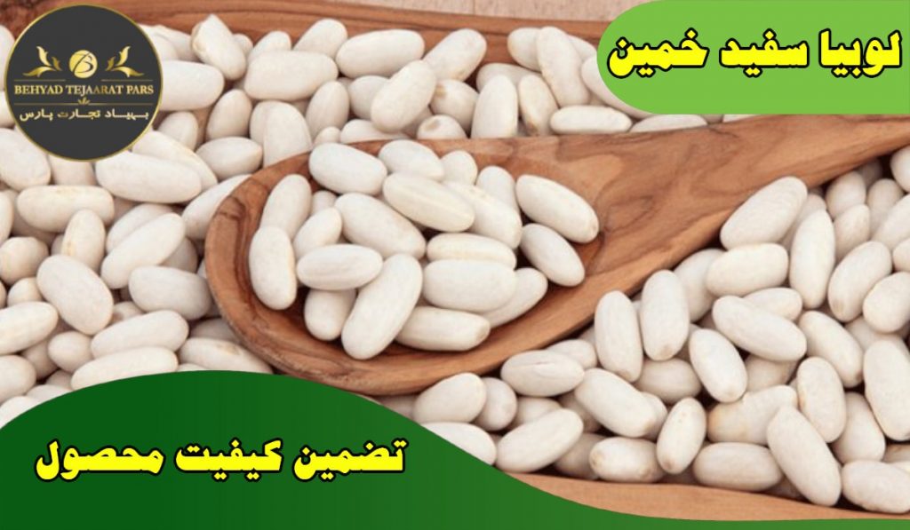 لوبیا سفید خمین و پخش عمده آن در آذر 1400