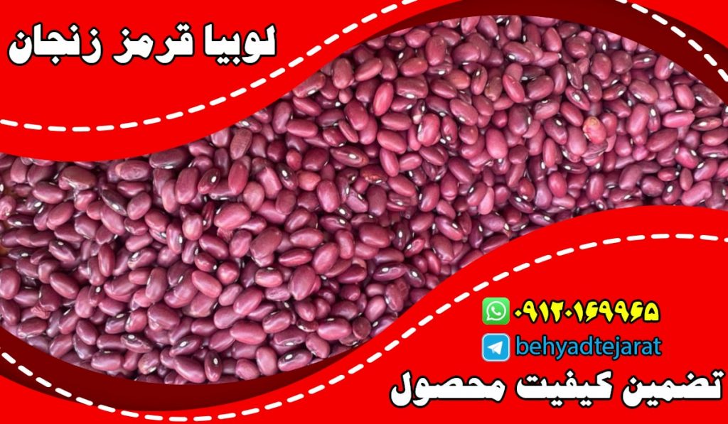 فروش لوبیا قرمز زنجان | بازرگانی بهیاد تجارت