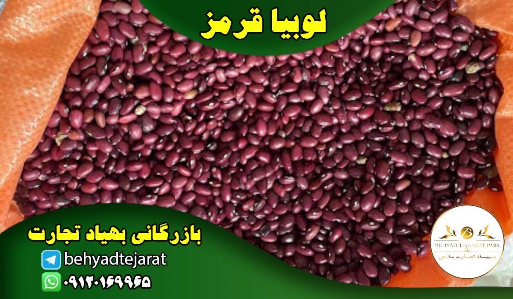 فروش لوبیا قرمز زنجان | شرکت بهیاد تجارت